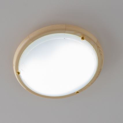 Rabalux - Stropní svítidlo 1xE27/60W/230V pr. 30 cm
