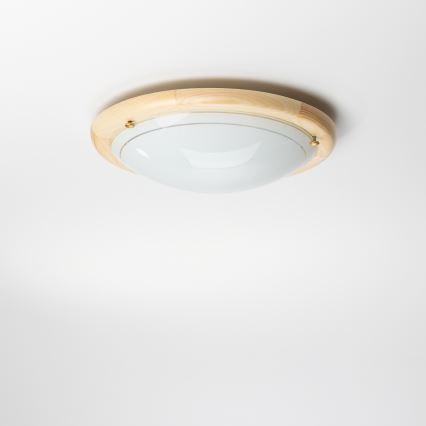 Rabalux - Stropní svítidlo 1xE27/60W/230V pr. 30 cm