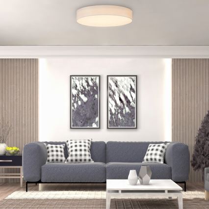 Rabalux - LED Stropní svítidlo LED/24W/230V pr. 40 cm