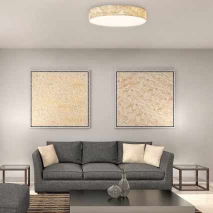 Rabalux - LED Stropní svítidlo LED/24W/230V pr. 40 cm