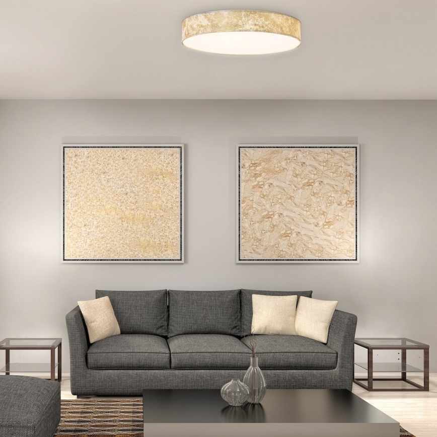 Rabalux - LED Stropní svítidlo LED/24W/230V pr. 40 cm