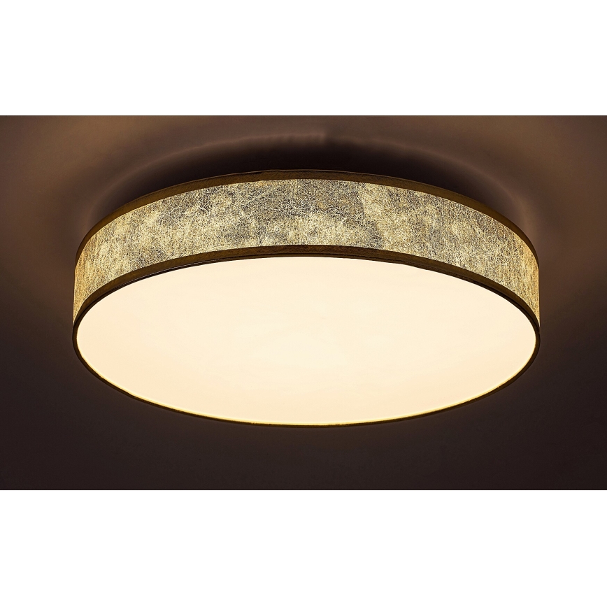 Rabalux - LED Stropní svítidlo LED/24W/230V pr. 40 cm