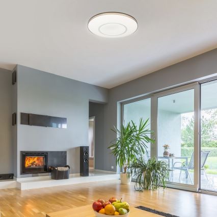Rabalux - LED Stmívatelné stropní svítidlo na dálkové ovládání LED/24W/230V pr. 40,5 cm