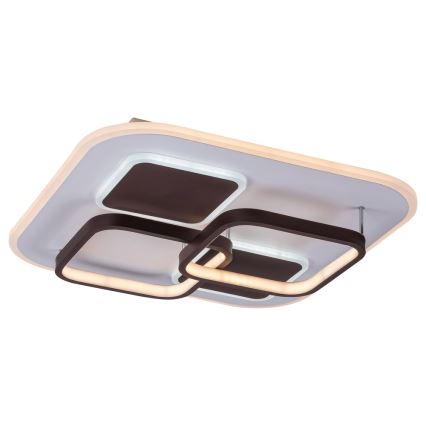 Rabalux - LED Stmívatelné stropní svítidlo LED/50W/230V 47x47 cm