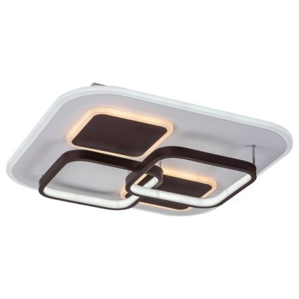 Rabalux - LED Stmívatelné stropní svítidlo LED/50W/230V 47x47 cm