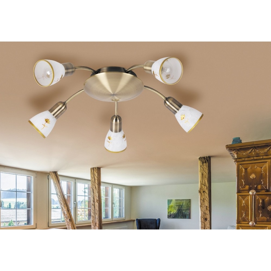 Rabalux - Stropní svítidlo 5xE14/40W/230V