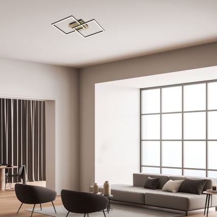 Rabalux - LED Stropní svítidlo LED/24W/230V