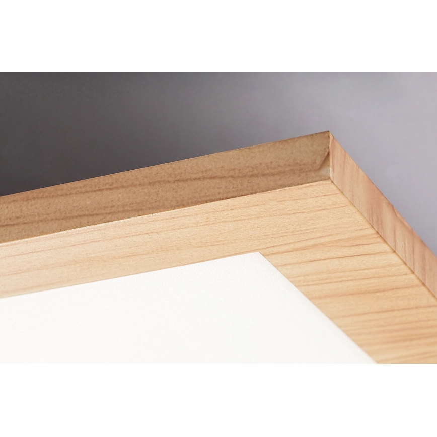 Rabalux - LED Přisazený panel LED/40W/230V 4000K