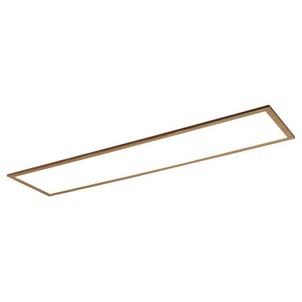 Rabalux - LED Přisazený panel LED/40W/230V 4000K