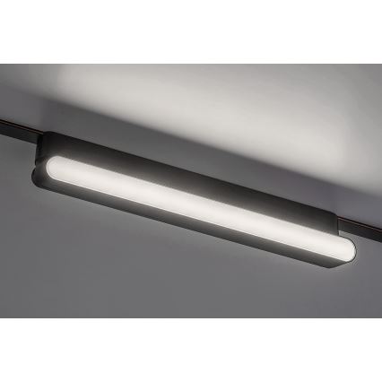 Rabalux - LED Stropní svítidlo do 1-fázového lištového systému LED/16W/230V 4000K 33 cm černá