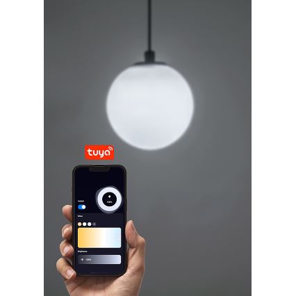 Rabalux - LED Stmívatelný lustr na lanku do 1-fázového lištového systému LED/5W/24V 2700-5500K Wi-Fi Tuya černá