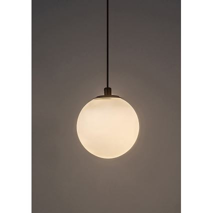 Rabalux - LED Stmívatelný lustr na lanku do 1-fázového lištového systému LED/5W/24V 2700-5500K Wi-Fi Tuya černá