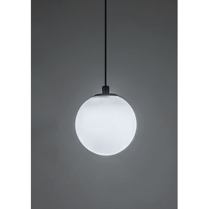 Rabalux - LED Stmívatelný lustr na lanku do 1-fázového lištového systému LED/5W/24V 2700-5500K Wi-Fi Tuya černá