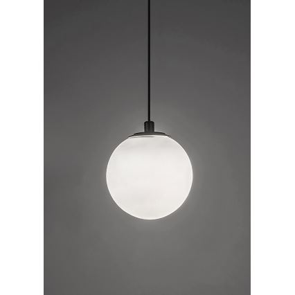 Rabalux - LED Stmívatelný lustr na lanku do 1-fázového lištového systému LED/5W/24V 2700-5500K Wi-Fi Tuya černá