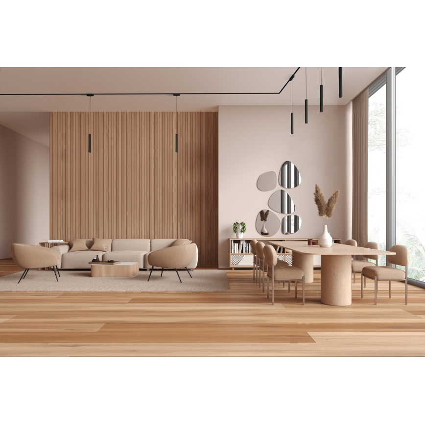 Rabalux - LED Stmívatelný lustr na lanku do 1-fázového lištového systému LED/5W/24V 2700-5500K Wi-Fi Tuya černá