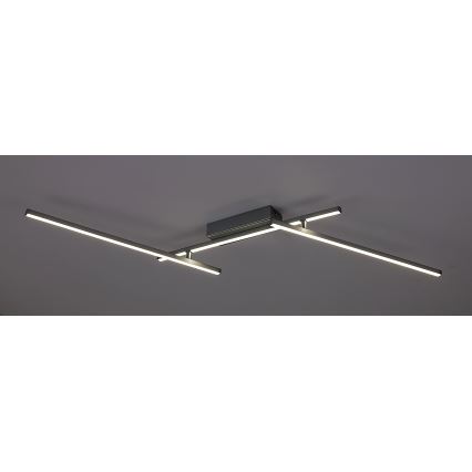 Rabalux - LED Stropní svítidlo LED/24W/230V 4000K