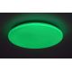 Rabalux - LED RGB Stmívatelné stropní svítidlo LED/24W/230V Wi-Fi Tuya 3000-6500K 31 cm