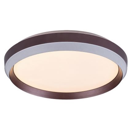 Rabalux - LED Stropní svítidlo LED/24W/230V 3000K