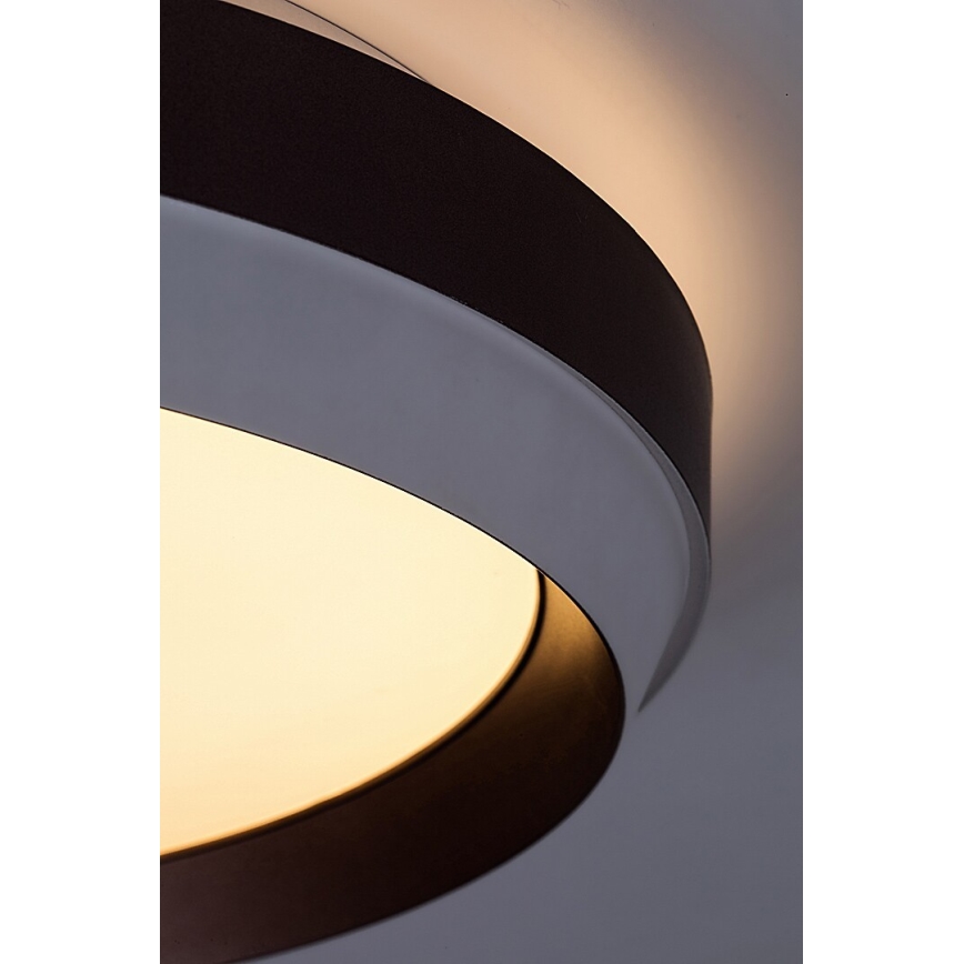 Rabalux - LED Stropní svítidlo LED/24W/230V 3000K