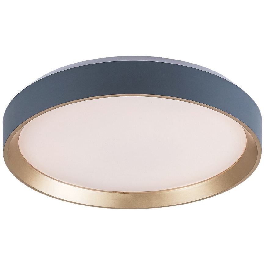 Rabalux - LED Stropní svítidlo LED/25W/230V 3000K pr. 38 cm
