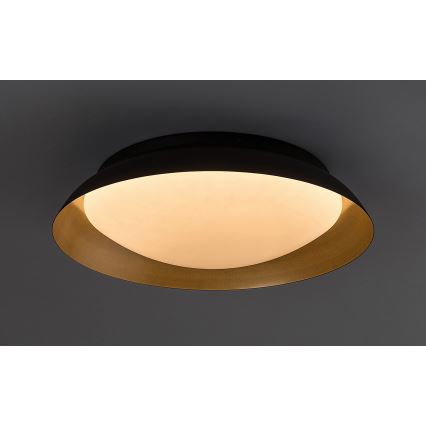 Rabalux - LED Stropní svítidlo LED/20W/230V 3000K pr. 30 cm