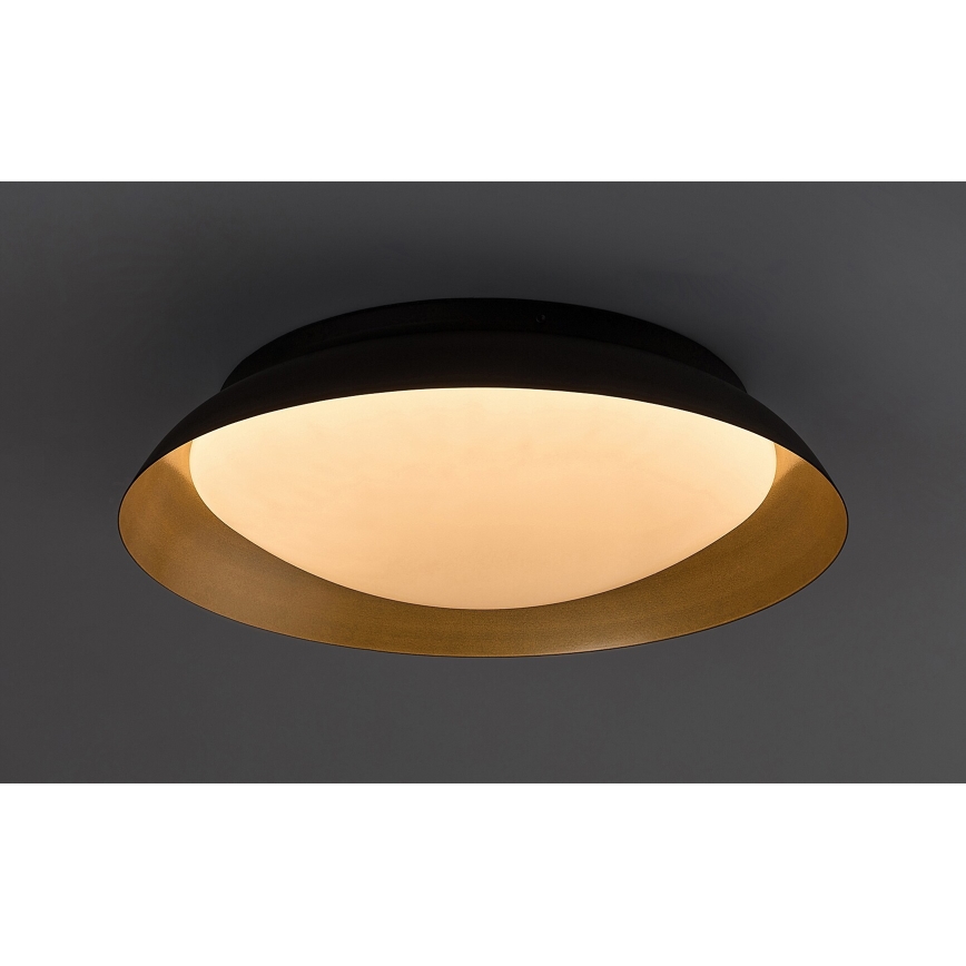 Rabalux - LED Stropní svítidlo LED/20W/230V 3000K pr. 30 cm