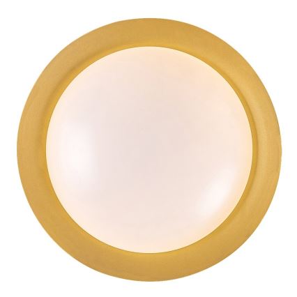 Rabalux - LED Stropní svítidlo LED/20W/230V 3000K pr. 30 cm
