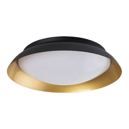 Rabalux - LED Stropní svítidlo LED/20W/230V 3000K pr. 30 cm