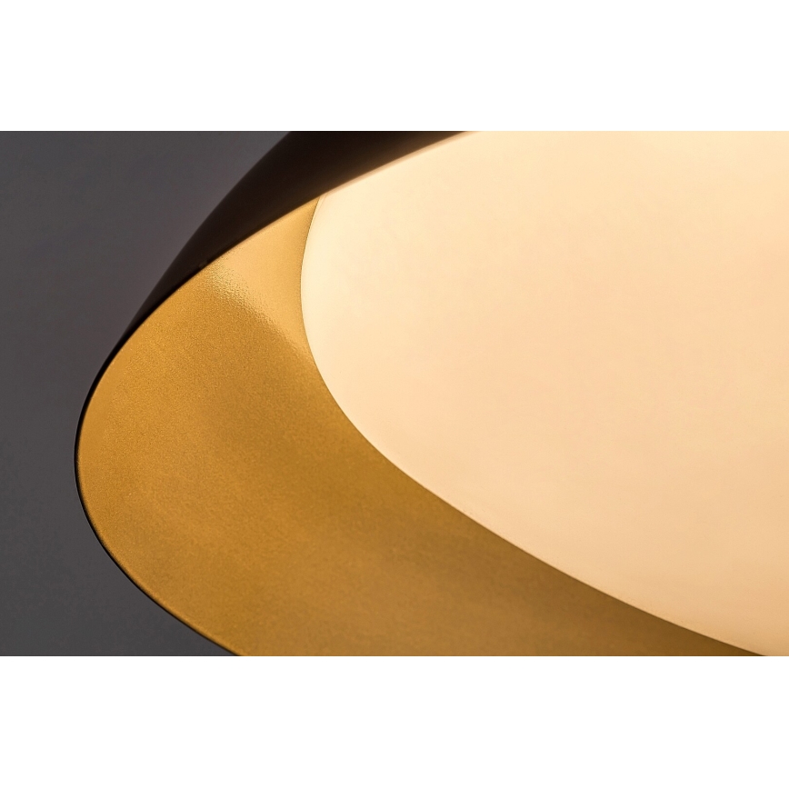 Rabalux - LED Stropní svítidlo LED/20W/230V 3000K pr. 30 cm
