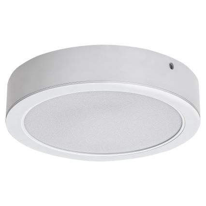 Rabalux - LED Stropní svítidlo LED/24W/230V 4000K pr. 22 cm bílá