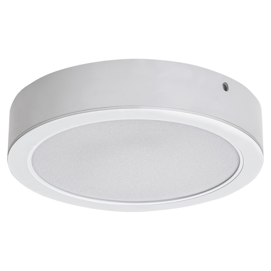 Rabalux - LED Stropní svítidlo LED/24W/230V 4000K pr. 22 cm bílá
