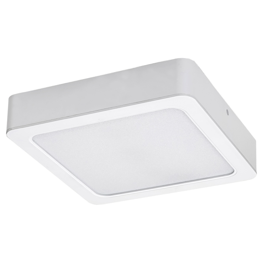Rabalux - LED Stropní svítidlo LED/7W/230V 4000K 12x12 cm bílá