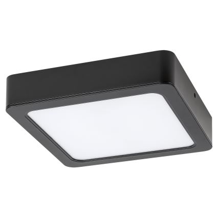 Rabalux - LED Stropní svítidlo LED/7W/230V 4000K 12x12 cm černá