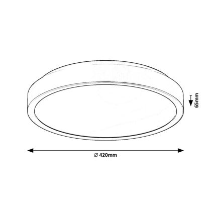 Rabalux - LED Koupelnové stropní svítidlo LED/48W/230V IP44 4000K pr. 42 cm černá