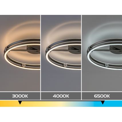 Rabalux - LED Stmívatelné stropní svítidlo LED/60W/230V 3000-6500K pr. 50 cm šedá + dálkové ovládání