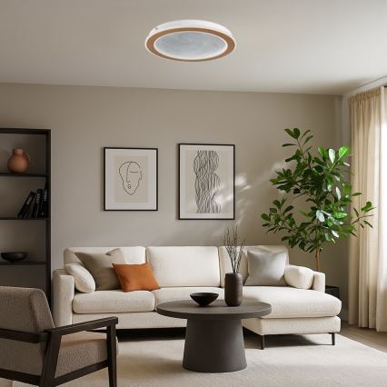 Rabalux - LED Stmívatelné stropní svítidlo LED/24W/230V 3000-6500K pr. 40 cm + dálkové ovládání