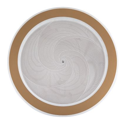 Rabalux - LED Stmívatelné stropní svítidlo LED/24W/230V 3000-6500K pr. 40 cm + dálkové ovládání