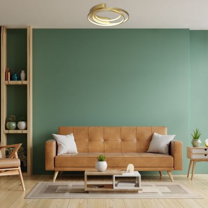 Rabalux - LED Stropní svítidlo LED/50W/230V