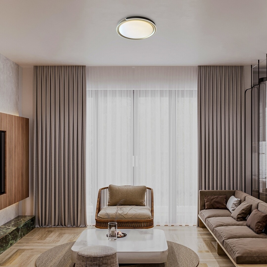 Rabalux - LED Stmívatelné stropní svítidlo LED/48W/230V 3000-6500K + dálkové ovládání