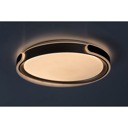 Rabalux - LED Stmívatelné stropní svítidlo LED/48W/230V 3000-6500K + dálkové ovládání