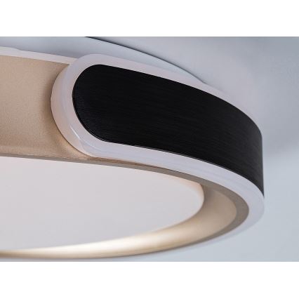 Rabalux - LED Stmívatelné stropní svítidlo LED/48W/230V 3000-6500K + dálkové ovládání