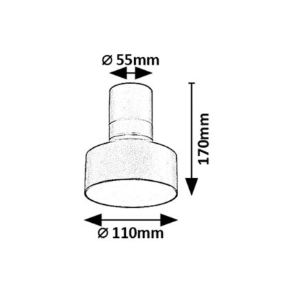 Rabalux - LED Stropní svítidlo LED/10W/230V 3000K černá