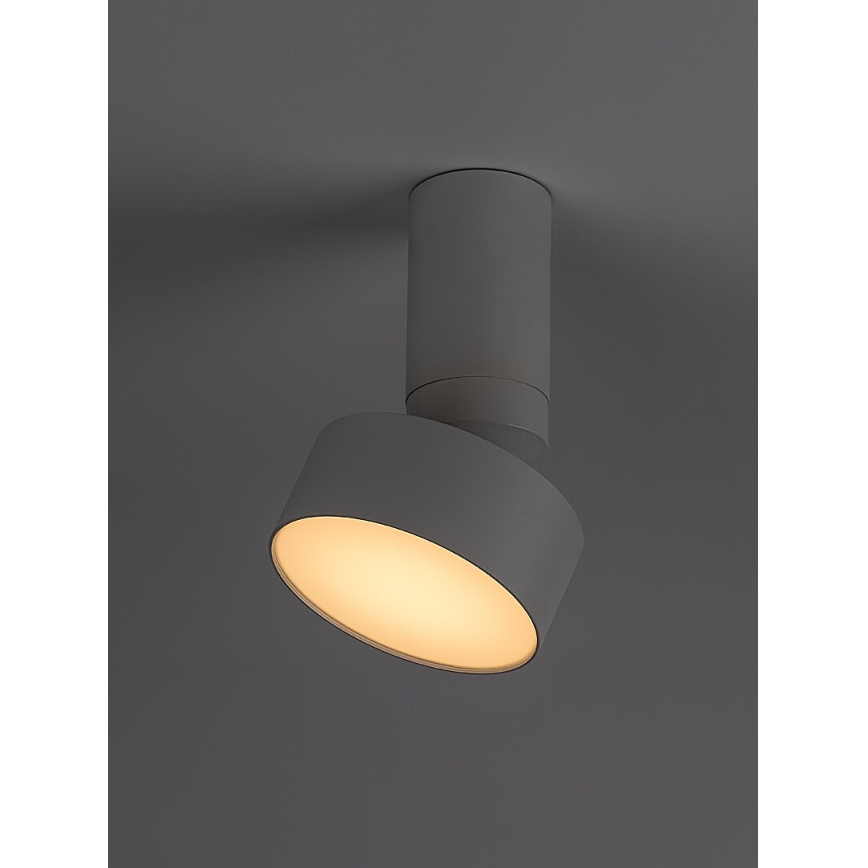 Rabalux - LED Stropní svítidlo LED/10W/230V 3000K bílá