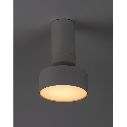 Rabalux - LED Stropní svítidlo LED/10W/230V 3000K bílá