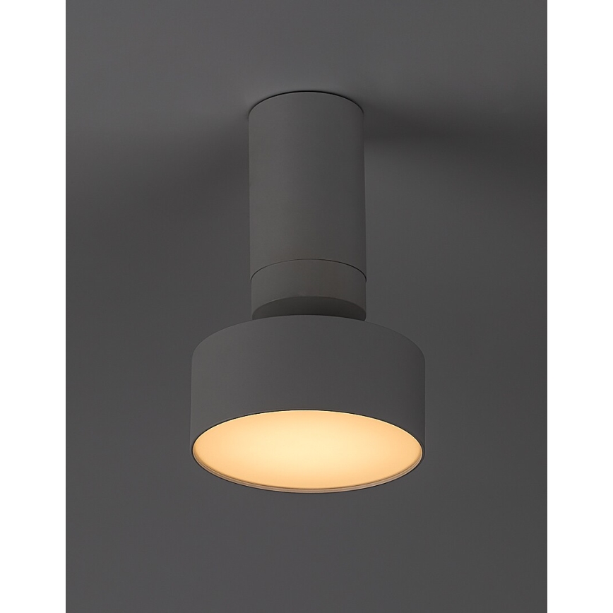 Rabalux - LED Stropní svítidlo LED/10W/230V 3000K bílá