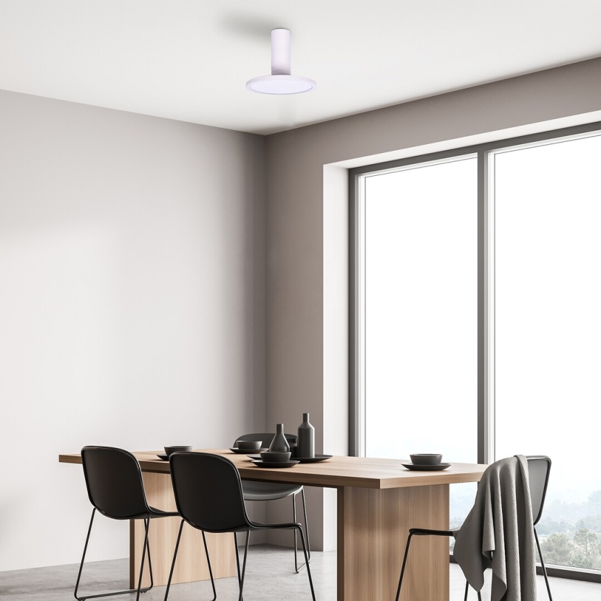 Rabalux - LED Stropní svítidlo LED/20W/230V 3000K bílá
