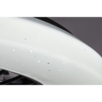 Rabalux - LED Stmívatelné stropní svítidlo s ventilátorem LED/48W/230V 3000-6500K + dálkové ovládání