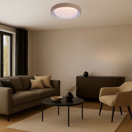 Rabalux - LED Stmívatelné stropní svítidlo LED/48W/230V 3000-6500K pr. 49,5 cm + dálkové ovládání