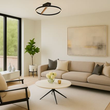 Rabalux - LED Stropní svítidlo LED/24W/230V 3000K pr. 45 cm