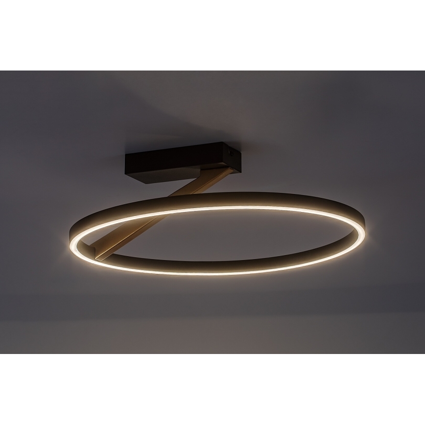 Rabalux - LED Stropní svítidlo LED/24W/230V 3000K pr. 45 cm
